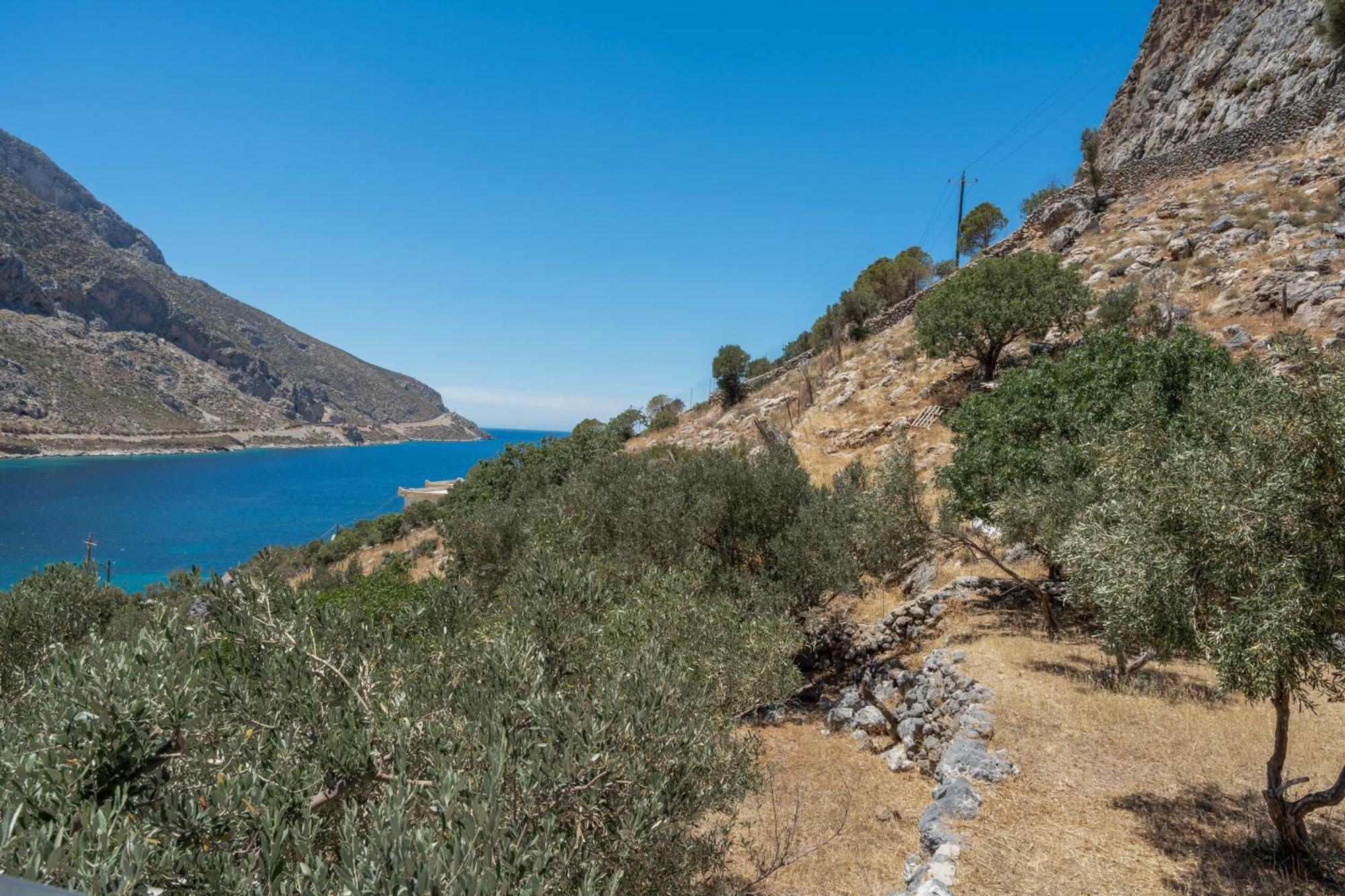 Antonis House Villa Arginonda Dış mekan fotoğraf